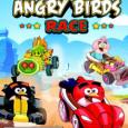 The Angry Birds Racer